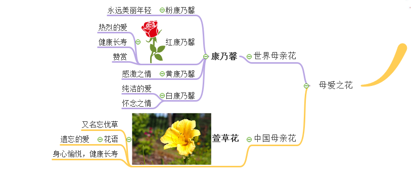 母爱之花思维导图