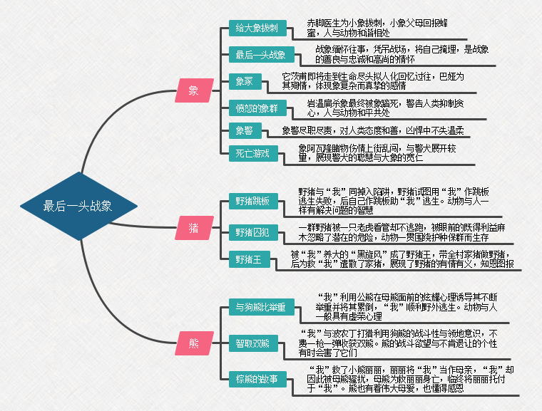 最后一头战象思维导图
