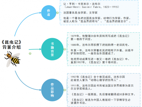 昆虫记思维导图