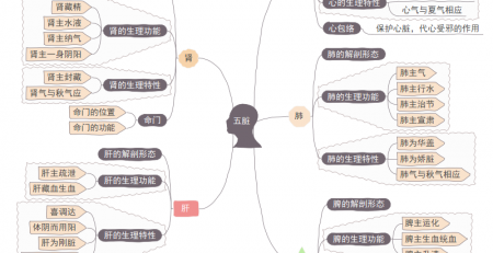 五脏思维导图