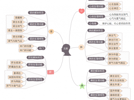 五脏思维导图