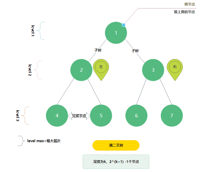 二叉树模型