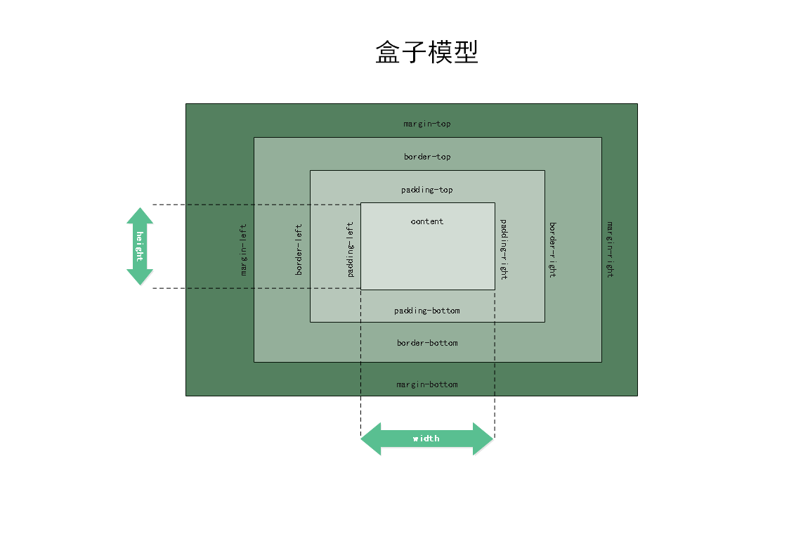 盒子模型